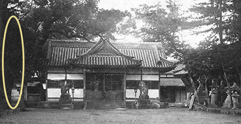 旧社殿が写るおよそ百年前の写真。と同じ場所に御神木があることが分かります