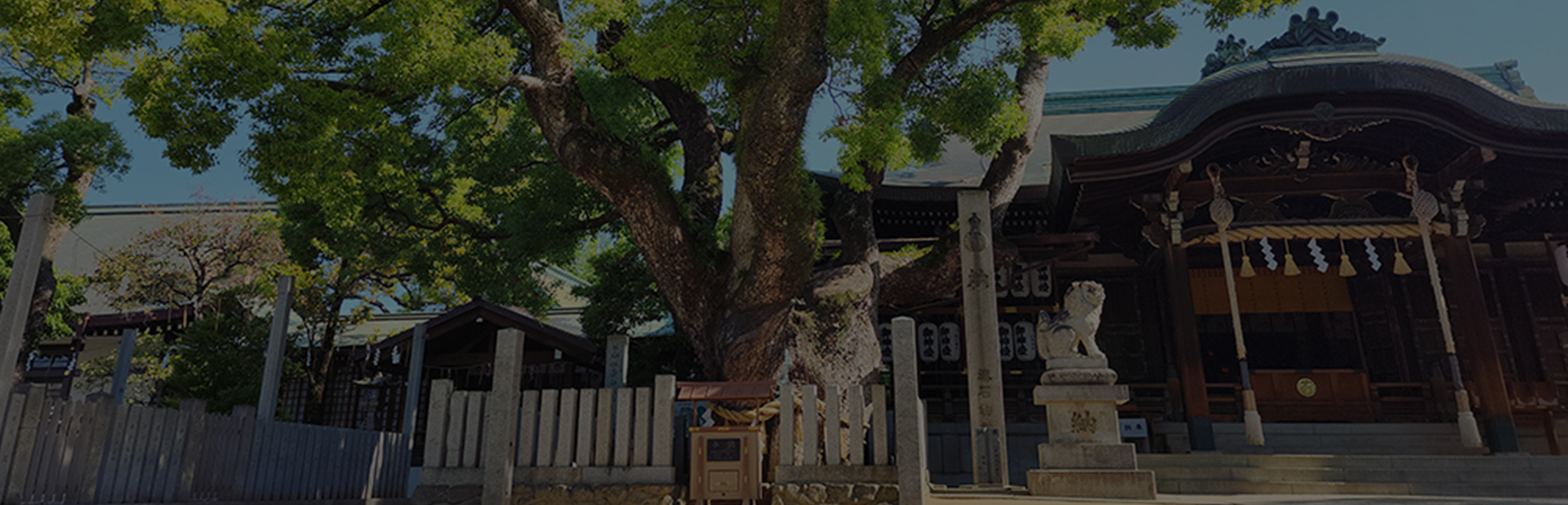 御社殿・御神木