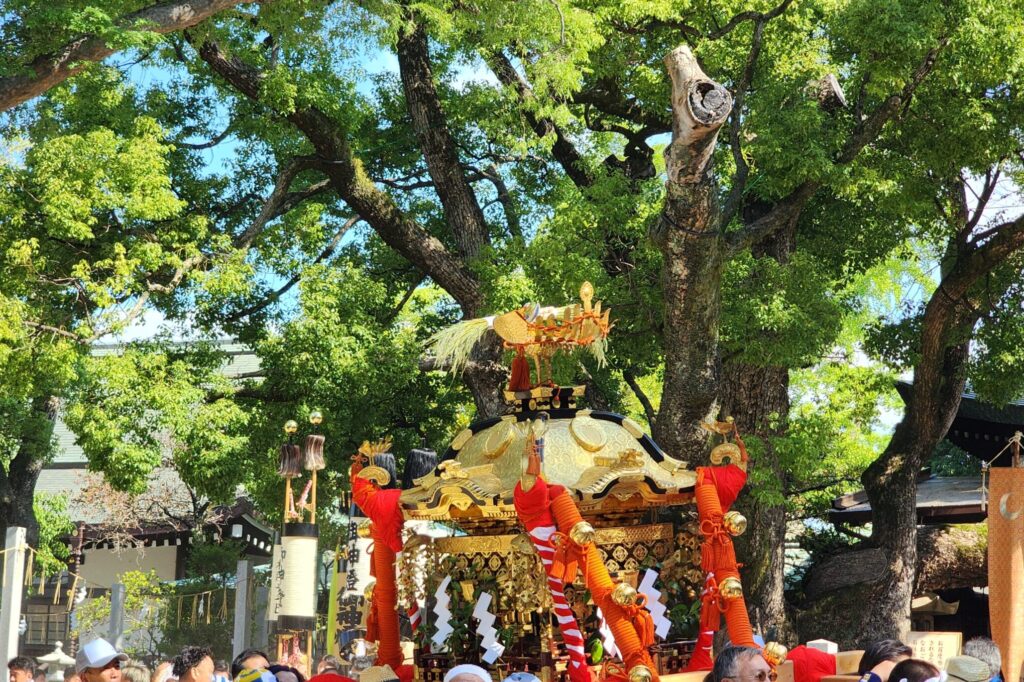 イメージ画像